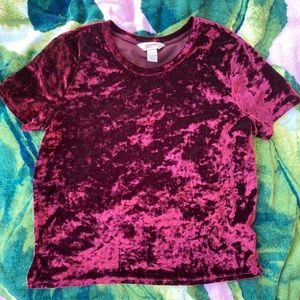 Velvet Crop Top